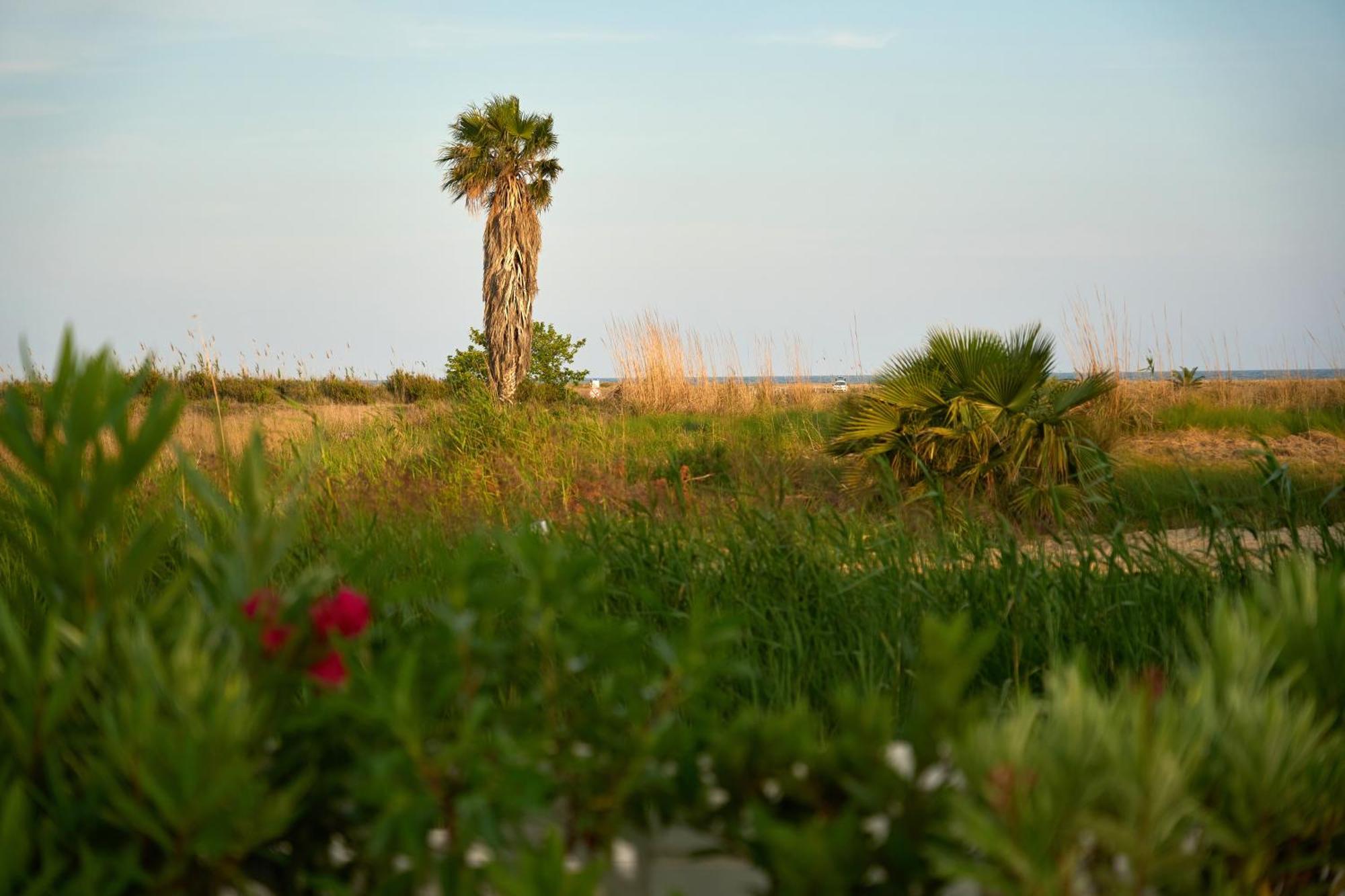 Casa Eucaliptus Villa L'Eucaliptus ภายนอก รูปภาพ